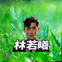林若曦